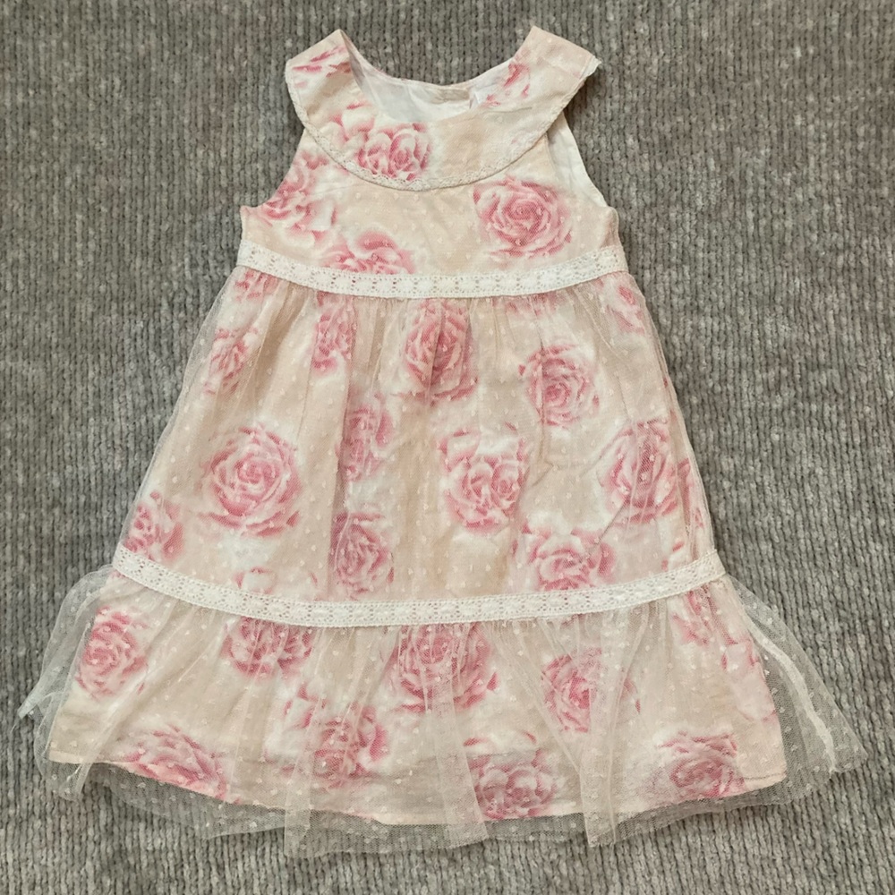 Heirloom By Polly Flinders Rose Print Swiss Dot Tulle Dress Toddler Girls 2T
